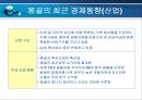 한국 몽골간 경제협력 확대방향  17페이지