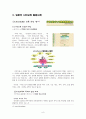 [청소년시민교육] 6페이지