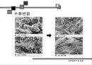 2_시멘트 10페이지