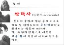 안락사 [찬성입장] 3페이지