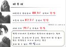 안락사 [찬성입장] 19페이지