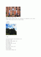 배낭여행계획서 10페이지