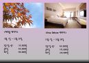 경주 힐튼호텔.ppt - 개요, 연혁, 위치, 주변관광지, 경영이념, 경쟁호텔과 차이점, 객실소개, 부대시설, 판매 상품, SWOT 분석, 느낀점 47페이지