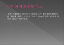 한국 대학생의 성의식.ppt 28페이지