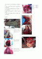 해부생리 Anatomy 3페이지
