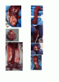 해부생리 Anatomy 4페이지