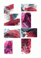 해부생리 Anatomy 6페이지