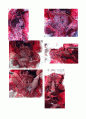 해부생리 Anatomy 7페이지