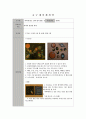 만5세 학급을 대상으로 수학적 또는 과학적 개념의 내용을 중심으로 수업을 진행할 수 5페이지