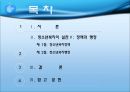 청소년복지의 실천 정책과 행정  2페이지