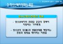 청소년복지의 실천 정책과 행정  13페이지