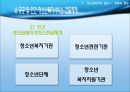 청소년복지의 실천 정책과 행정  60페이지