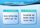 청소년복지의 실천 정책과 행정  62페이지