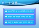 청소년복지의 실천 정책과 행정  69페이지