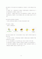국민기초생활보장제도  19페이지