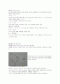 예비6휘스톤 브리지 예비레포트 2페이지