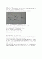 예비6휘스톤 브리지 예비레포트 4페이지