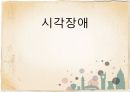 시각장애 특수교육학 1페이지
