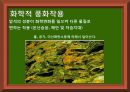 지표의변화 지구과학 6페이지