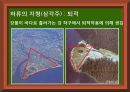 지표의변화 지구과학 18페이지