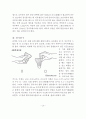 배드민턴 (badminton) 5페이지