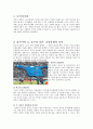 한국과 일본 스포츠문화 비교 3페이지
