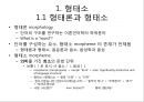 제5장 언어의 단어 구조_형태론[1] 2페이지