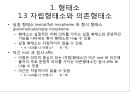제5장 언어의 단어 구조_형태론[1] 6페이지