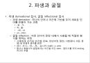 제5장 언어의 단어 구조_형태론[1] 9페이지