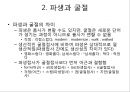 제5장 언어의 단어 구조_형태론[1] 10페이지