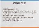 creutzfeldt-jacob disease 4페이지