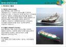 해운항만물류론 43페이지