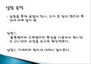 기하광학 실험.ppt 2페이지