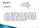 기하광학 실험.ppt 10페이지