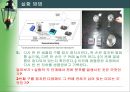 정전기실험 21페이지