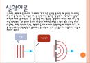 수면파 간섭 실험 5페이지