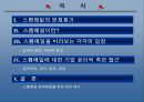 스팸메일- 기업윤리적 접근…  2페이지