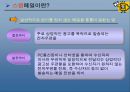 스팸메일- 기업윤리적 접근…  5페이지