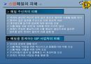 스팸메일- 기업윤리적 접근…  8페이지