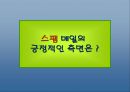 스팸메일- 기업윤리적 접근…  10페이지