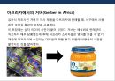 브랜드 마케팅 실패사례 및 분석 16페이지