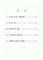 [애플분석]애플의 수익감소와 판매부진에 따른 영향 보고서 2페이지