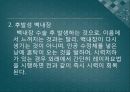 백내장과 녹내장.ppt 9페이지
