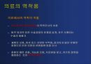 발표용 5페이지