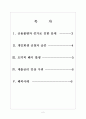 [신용불량자]신용불량자 증가와 개인회생제도의 문제점 보고서 2페이지