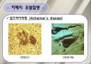 치매 환자 간호 (정의, 병태생리, 진단, 치료, 약물, 간호).ppt 10페이지