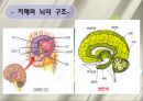 치매 환자 간호 (정의, 병태생리, 진단, 치료, 약물, 간호).ppt 18페이지