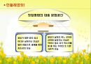 ♥ 외식창업프로젝트 ♥ (외식업계 성공사례) - 민들레영토.ppt 6페이지