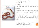 이색애완동물 4페이지