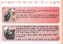 이색애완동물 9페이지